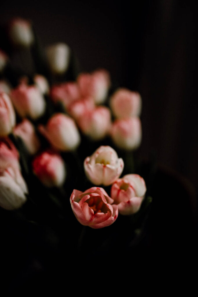 portfolio do wywiadu zawód fotograf fotograficzne kursy online Kobieca fotoszkola tulipany